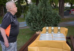 31237157 1997765693630726 197466314049060864 o