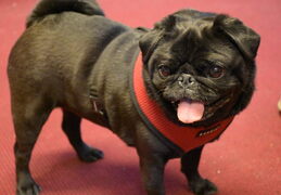 31253014 1997766506963978 1120773081690800128 o