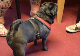 31253045 1997766366963992 1869938673739366400 o